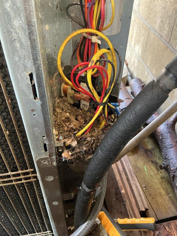 Completed comprehensive AC Super Tune-up on 15-year-old system. Removed significant accumulation of leaves and organic debris from outdoor unit enclosure, inspected electrical connections and refrigerant lines, verified proper system operation, and documented equipment condition with photos. All components functioning within normal parameters upon completion.