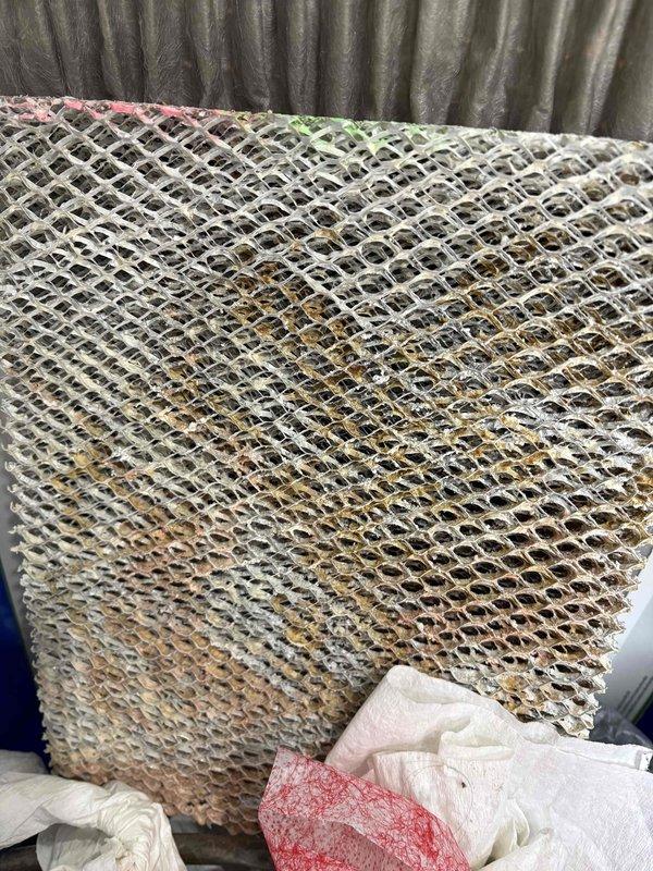 Completed annual cooling maintenance on 7-year-old Carrier system. Inspected air handler and evaporator coil, noting significant dust and debris accumulation on coil surface with heavy contamination restricting airflow. Documented condition of ductwork, refrigerant lines, and electrical connections. All copper refrigerant lines showed normal patina with no visible leaks. Verified proper operation of system components and safety controls. Captured documentation of equipment condition for service records.