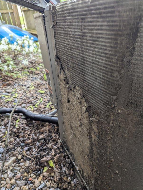 Completed annual cooling maintenance on 9-year-old AC system. Customer reported intermittent galloping sound from basement unit, occurring primarily during peak cooling periods at end of day and occasionally with heating operation, though no consistent pattern identified. Previous technician unable to locate source of noise.

Upon inspection, found outdoor condenser unit with severely restricted airflow due to heavy accumulation of dirt, dust, and organic debris completely caking the aluminum fin coils on multiple sides. Debris buildup was particularly dense on right side and lower portions of coil, significantly reducing heat transfer efficiency and restricting airflow through heat exchanger. This level of contamination would cause reduced cooling capacity, increased operating pressures, and potential compressor strain.

Performed thorough coil cleaning to remove accumulated debris and restore proper airflow through condenser fins. Cleared all obstructions from heat exchange surfaces.