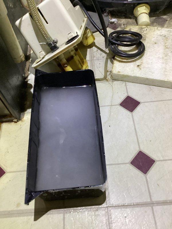 Completed annual AC tune-up on 13-year-old EnergiAir system with 2021 condenser motor. Inspected condensate drainage system and documented significant algae growth and sediment accumulation in both primary white drain pan and secondary black overflow pan. Photographed contaminated standing water with greenish-brown discoloration indicating biological buildup in drainage components. Evaluated condensate pump assembly and associated tubing for proper operation and drainage flow.