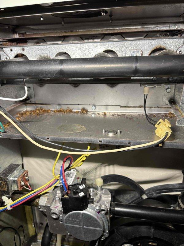 Responded to no heat call on 7-year-old Trane furnace that was attempting to start but shutting down before heating. Upon inspection, discovered significant debris accumulation in the drain assembly and throughout the unit's interior components, including brown granular material on internal panels and organic matter in the perforated drain pan. The excessive debris was causing drainage issues that prevented proper pressure switch operation, triggering safety lockout. Cleaned drain assembly, removed accumulated debris from interior surfaces, and verified proper drainage flow. Tested pressure switch operation and confirmed furnace cycled normally through complete heating sequence. Unit restored to proper operation with heat delivery confirmed.