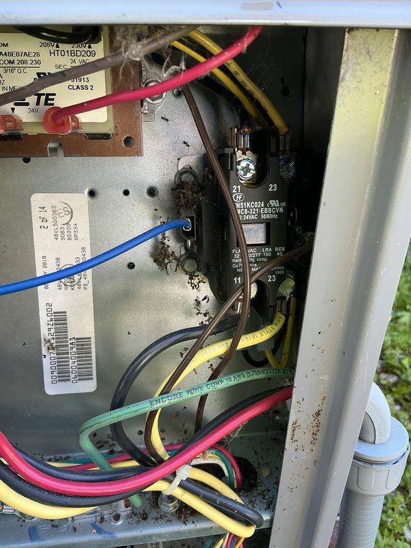 # No Heat Service Call - Carrier Packaged Unit

Responded to no heat call on Carrier packaged HVAC system (approximately 5 years old) that failed to start following a power outage. Upon arrival, performed visual inspection of outdoor packaged unit and found system non-operational.

Opened electrical control panel and discovered significant contamination from dirt, debris, and insect nesting material (mud dauber nests) throughout the interior. Debris was concentrated around electrical connections, contactors, and control components, which prevented proper system operation after power restoration.

Cleaned all electrical components, terminals, and control board area, removing insect nests and accumulated debris. Inspected all wire connections and found them secure after cleaning. Verified contactor operation and checked all safety circuits. 

Restored power to unit and successfully cycled system through startup sequence. Confirmed proper heating operation with all safeties functioning co