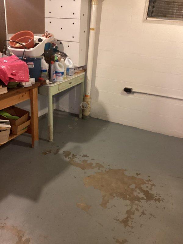 Responded to basement drain backup following severe storm event. Upon arrival, found significant water infiltration and staining on concrete basement floor with evidence of recent flooding. Inspected drainage system and plumbing infrastructure to identify source of backup. Assessed floor drain capacity and determined contributing factors to water intrusion. Documented existing water damage patterns and evaluated basement drainage configuration. Provided recommendations for preventing future backup incidents and discussed drainage solution options with property owner to address storm-related flooding concerns.