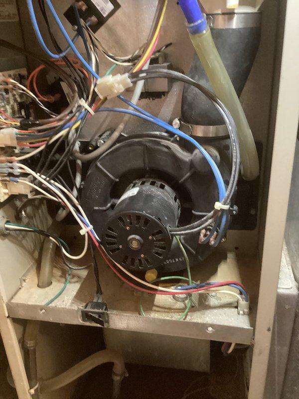 # AC Tune-Up Service Completed

Performed comprehensive Super Tune-up service on a 23-year-old Bryant air conditioning system. Conducted thorough inspection of all major components including blower motor assembly, electrical connections, and condensate drainage system. 

Inspected blower motor and housing, verifying proper mounting on platform and examining cooling vents for adequate airflow. Evaluated all electrical wiring connections throughout the unit, including blue, red, yellow, green, and white wire bundles, ensuring secure terminations and proper routing. Checked motor terminals and verified electrical integrity of all connections.

Examined ductwork connections and air handling components for proper sealing and attachment. Inspected refrigerant lines and tubing for signs of wear or damage.

Identified significant water accumulation and rust-colored staining at the base of the unit cabinet, indicating ongoing condensate drainage issues or potential leak. Assessed condensate dra