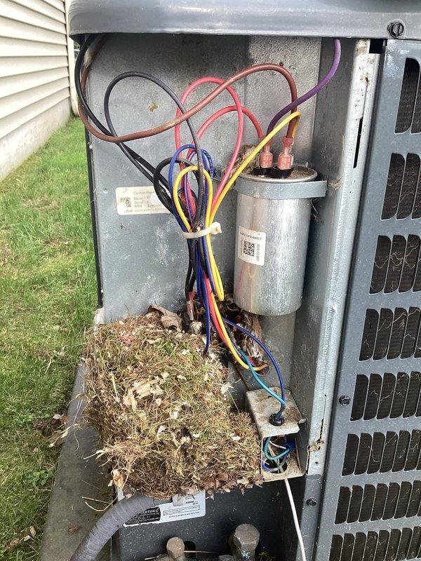 Completed annual cooling maintenance on 4-year-old air conditioning system. Performed comprehensive inspection of outdoor condensing unit, documenting electrical connections and internal components. Removed significant accumulation of grass clippings, leaves, and organic debris from unit base that had collected around electrical components and wiring. Inspected capacitor and wiring connections, noting visible corrosion and rust on electrical junction terminal block and metal panel surfaces. Assessed condition of all wire connections including power supply conductors. Photographed areas of concern including corroded terminal connections and deteriorated metal surfaces showing oxidation from moisture exposure. System operational at time of service completion.