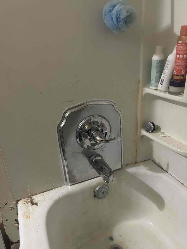 Replaced defective shower valve assembly in bathroom tub/shower combination. Removed existing chrome octagonal trim plate and valve mechanism, accessed plumbing through wall cavity, installed new valve with updated trim plate, and reconnected supply lines with shut-off valves. Tested operation to ensure proper water flow and temperature control functionality.