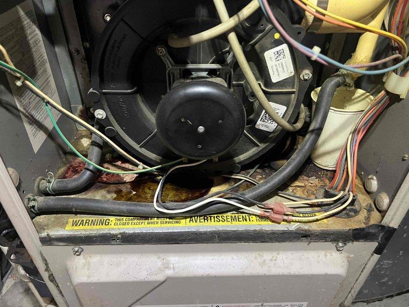 Responded to no-heat service call for 15-year-old Goodman GUCA070AX furnace system. Customer reported "no wires detected" error on smart thermostat upon returning from vacation. Customer had already replaced thermostat, but system continued to only blow air without heating. 

Upon inspection, examined furnace control board wiring and thermostat connections. Photographed internal compartment showing draft inducer motor, control modules, and low-voltage wiring configuration. Noted visible rust and corrosion on furnace base plate beneath blower assembly, indicating potential moisture intrusion issues. Verified manufacturer specifications on unit data plate showing Type FSP Category IV indoor installation requirements.

Diagnosed thermostat wiring issue at furnace control board. Traced low-voltage wiring connections including R, C, W, G, and Y terminals. Identified compromised wire connections or failed control board preventing proper communication between thermostat and heating system. Co