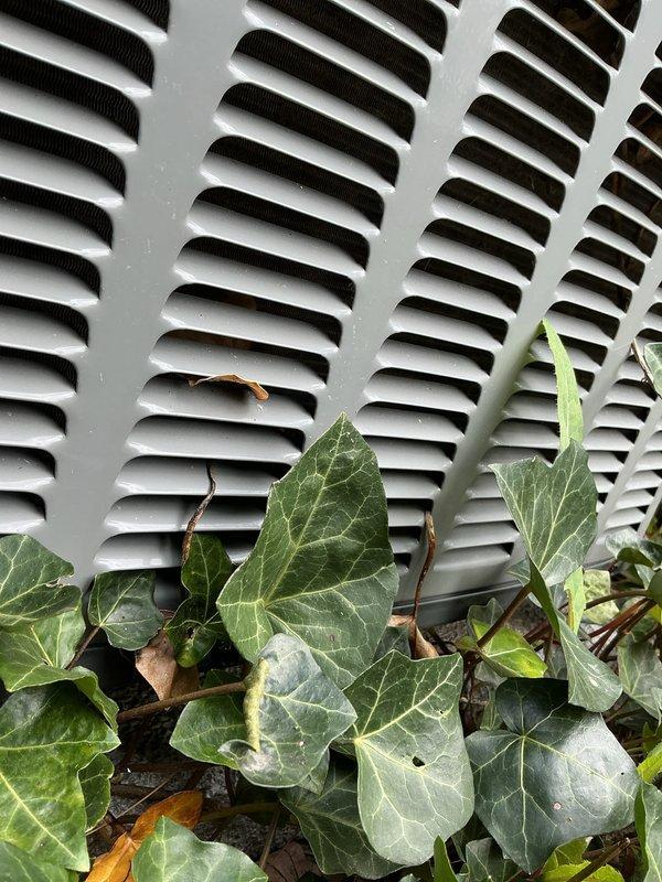 Completed annual cooling maintenance visit and AC tune-up on EnergiAir system under warranty coverage. Performed comprehensive inspection of outdoor condensing unit, indoor air handler components, and associated drainage systems. Observed vegetation growth obstructing exterior ventilation grille and cleared ivy from louvers to restore proper airflow. Inspected condensate drain pan, pump assembly, and PVC drain lines for proper operation. Checked air filters and verified all mechanical connections and wiring. System operating within normal parameters upon completion of preventive maintenance procedures.