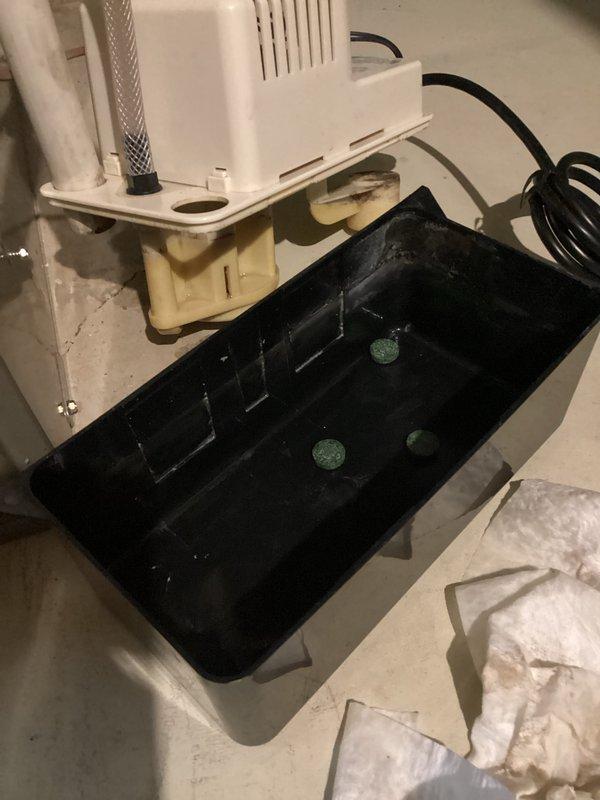 Completed annual cooling maintenance on 2014 AC system. Inspected condensate pump assembly and drain pan, verifying proper operation and drainage. Evaluated electrical components including GE capacitor, contactor, and associated wiring connections; all components tested within specifications and functioning properly.