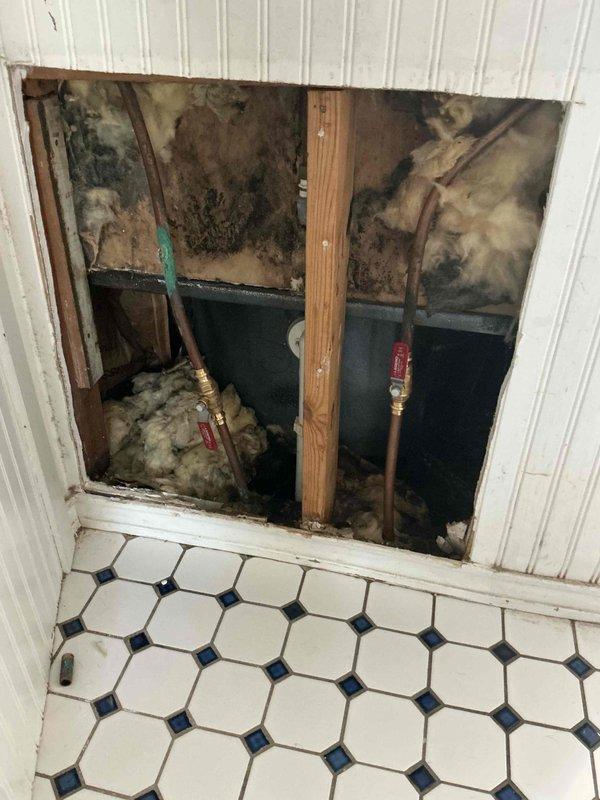 Responded to service call for reported water heater and kitchen sink leaks. Upon inspection, discovered active leak at Navien tankless water heater installation with moisture present on copper supply lines and connections. Investigated kitchen sink leak and found significant water damage behind wall cavity with extensive mold growth on drywall and framing members. Removed wall panel section to expose copper supply lines with compromised valve fittings showing signs of chronic leakage. Documented conditions with photographs showing deteriorated insulation, mold contamination on wall studs, and compromised plumbing connections. Identified need for mold remediation, drywall replacement, and repair of leaking copper pipe connections and valve assemblies at both water heater and under-sink locations.