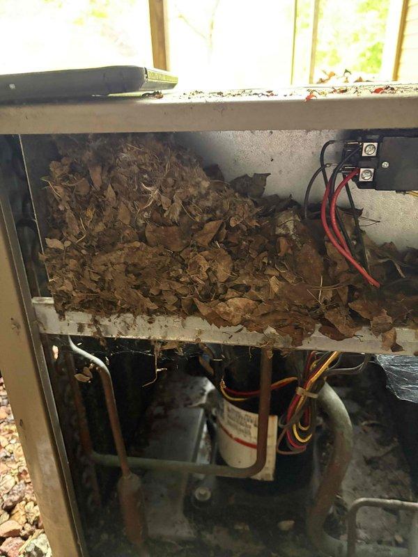 # Annual Cooling Maintenance - Dual Armstrong System

Completed comprehensive annual cooling maintenance on two 24-year-old Armstrong air conditioning units. Upon inspection, discovered significant leaf debris accumulation in the middle compartment of the primary unit, which had entered from the exterior and created a substantial blockage affecting airflow and system efficiency. Removed all organic debris from the interior compartments and cleaned affected areas to restore proper ventilation pathways.

Inspected all electrical connections, including circuit breakers and wiring harnesses, ensuring secure connections throughout both systems. Verified integrity of refrigerant lines and copper tubing. Examined compressor units and associated mechanical components for proper operation.

Secondary system inspection revealed rust-colored corrosion and staining on condensate drain components, indicating previous water exposure and potential drainage issues. Assessed condition of drain assembly