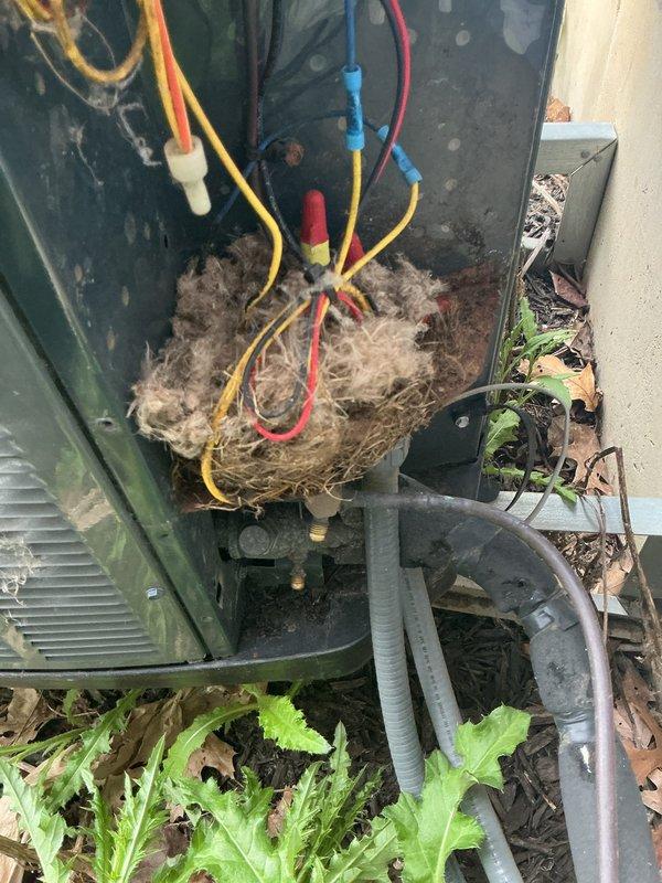 Completed annual cooling maintenance on 7-year-old Trane system. Upon opening outdoor unit, discovered extensive animal nesting material heavily accumulated throughout electrical compartment, creating serious fire hazard with debris packed around wire connections, capacitor, and other electrical components. Removed all nesting material from unit interior, cleaned electrical connections, and cleared organic debris from base. Inspected capacitor, wiring terminals, and all electrical connections for damage caused by nest intrusion. Performed standard tune-up procedures including system performance verification. Unit restored to safe operating condition with all fire hazards eliminated.