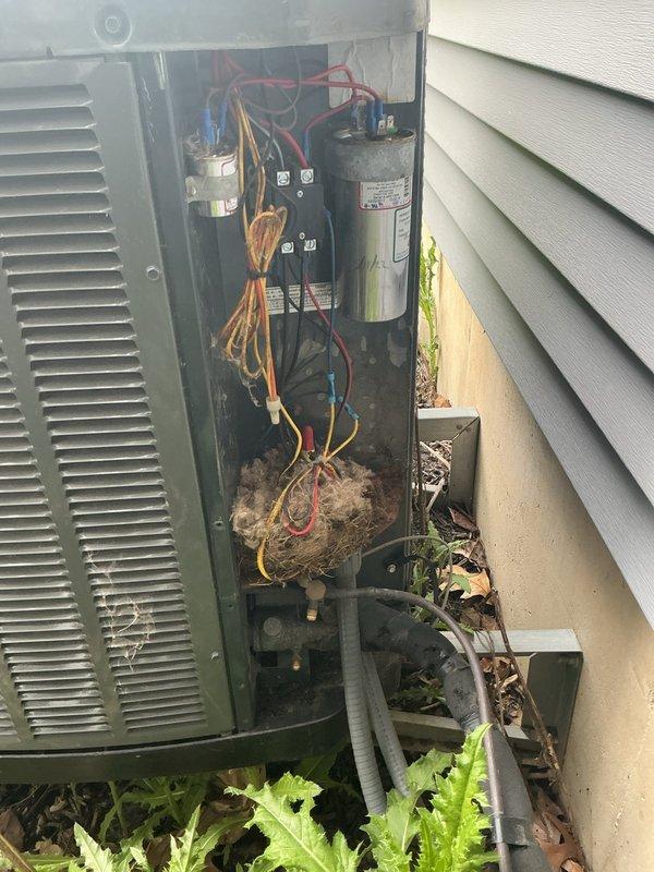 Completed annual cooling maintenance on 7-year-old Trane system. Upon opening outdoor unit, discovered extensive animal nesting material heavily accumulated throughout electrical compartment, creating serious fire hazard with debris packed around wire connections, capacitor, and other electrical components. Removed all nesting material from unit interior, cleaned electrical connections, and cleared organic debris from base. Inspected capacitor, wiring terminals, and all electrical connections for damage caused by nest intrusion. Performed standard tune-up procedures including system performance verification. Unit restored to safe operating condition with all fire hazards eliminated.