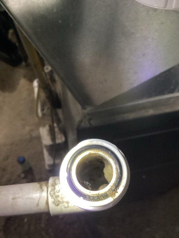 Completed annual cooling maintenance on a 2014 Amana air conditioning system (29 years old). Inspected condensate drain line and noted yellowish-brown discoloration and residue buildup on interior pipe walls, indicating mineral deposits and potential biological growth accumulation. Cleared and serviced drainage system to ensure proper condensate flow and prevent future blockages.