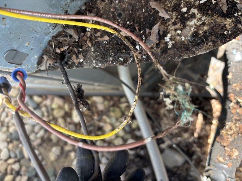 Completed annual cooling maintenance on 8-year-old Rheem system. Performed comprehensive inspection of outdoor condenser unit, including examination of refrigerant lines showing weathering and environmental exposure. Inspected and tested capacitor, noting accumulated dust and debris within electrical compartment. Cleaned components, verified proper connections on copper wire terminals, and ensured all mechanical systems operating within manufacturer specifications for continued reliable performance through the cooling season.