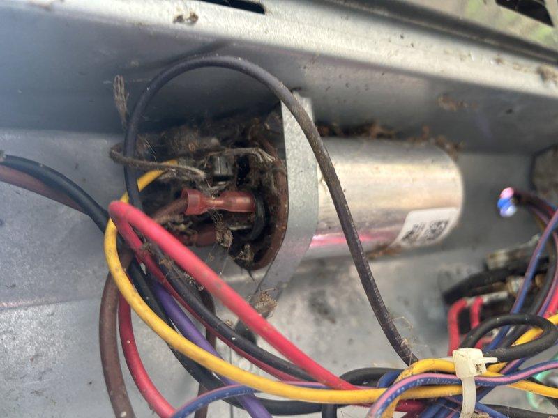Completed annual cooling system maintenance and inspection on 4-6 year old air conditioning unit. System found in good operating condition. Discovered significant debris accumulation including leaves and organic material in blower compartment through circular access opening, which was documented photographically. Inspected electrical connections and wiring harnesses, all properly secured with zip ties and showing appropriate color coding. Evaluated HVAC equipment located in unfinished basement utility area with exposed ductwork and standard concrete flooring. All mechanical components, ductwork, and furnace/air handler unit inspected and functioning within normal parameters.