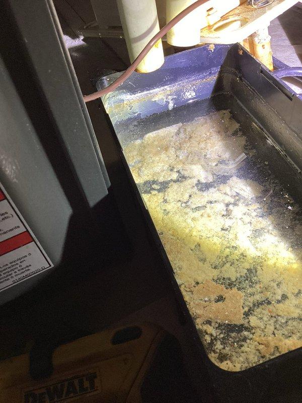Completed annual AC tune-up on 13-year-old EnergiAir system (2016 condenser model). Inspected air handler unit and found drain pan with heavy mineral deposits, mold buildup, and corrosion requiring cleaning or replacement recommendation. Examined outdoor condenser unit electrical components, noting rust and weathering on enclosure with aged capacitor and loosely organized wiring connections. All refrigerant lines, electrical connections, and system operations checked and documented with photos for customer records.