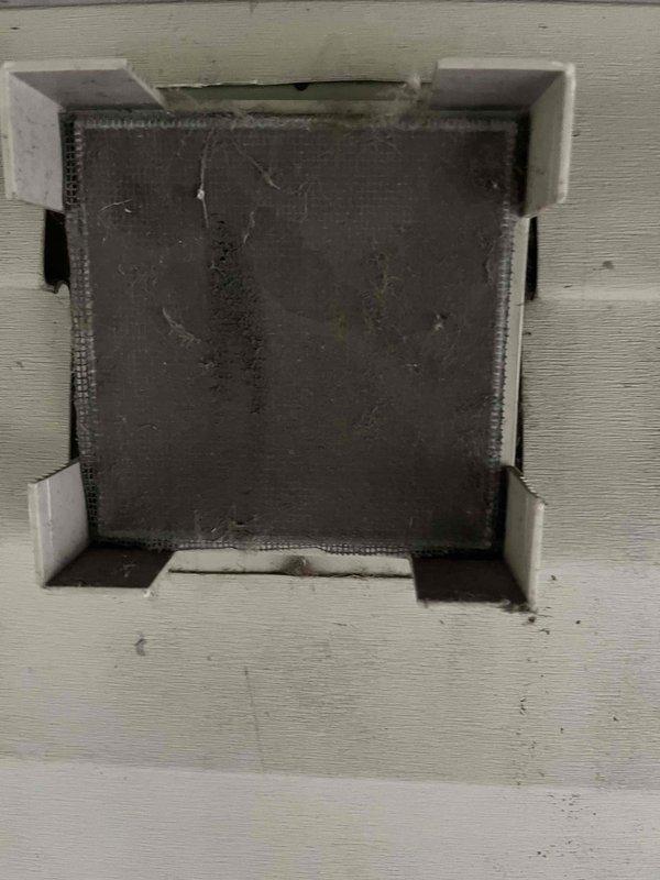 Responded to customer complaint of water heater not producing hot water. Upon arrival, inspected 15-year-old water heater unit and associated ventilation system. Found heavily clogged intake air filter with significant accumulation of dust, dirt, and debris restricting proper airflow to combustion chamber. Cleaned filter and verified proper ventilation through all three wall-mounted vent openings. Restored adequate air supply to unit, enabling proper combustion and heat transfer. Water heater returned to normal operation with hot water production restored.