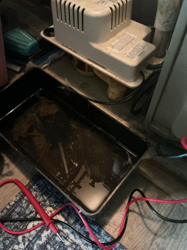 Completed annual cooling maintenance on 22-year-old Amana system. Inspected and serviced condensate pump system in basement utility area, verified proper drainage and water collection in pan. Opened and cleaned blower assembly, removing significant accumulation of dust and lint from blower housing and motor compartment. Verified electrical connections, checked system operation, and documented equipment condition with photos for customer records.