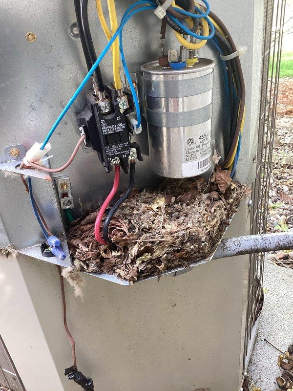 Responded to no cooling complaint on 7-year-old EcoAir residential air conditioning system. Upon inspection, discovered outdoor unit contained large accumulation of nesting material (leaves, twigs, grass, and debris) filling bottom of electrical compartment and surrounding internal components including capacitor, contactor, and wiring connections. Removed all nesting material from unit, cleared debris from around electrical components, and verified proper airflow clearances. Inspected capacitor, contactor, and all electrical connections for damage caused by nesting activity—all components found to be intact and functional. Cleaned interior of electrical compartment and ensured all wire connections were secure. Powered up system and verified normal operation with proper cooling output restored to home. Advised homeowner of importance of regular visual inspections to prevent future nesting issues that can cause system failures or electrical hazards.