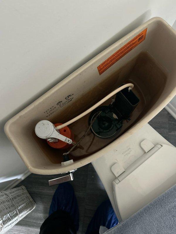 Replaced two Kohler toilet flushing mechanisms showing signs of wear and mineral buildup in a 25-year-old residential property. Addressed two slow-draining fixtures that had been experiencing drainage issues for approximately 30 days, restoring proper flow and functionality to all affected plumbing systems.