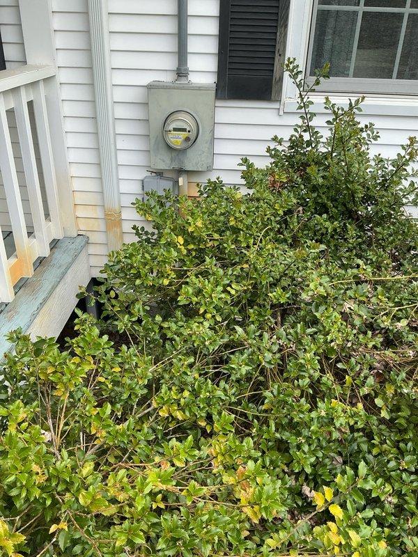 Conducted on-site evaluation for standby generator installation at residential property. Assessed existing utility infrastructure including natural gas meter assembly with pressure regulator and electrical service panel to determine feasibility and requirements for generator system. Client expressed interest in Kohler generator models. Documented current gas and electrical service locations with photographs, noting landscaping considerations around utility equipment areas. Provided pricing estimate conditioned on final specifications and equipment selection.