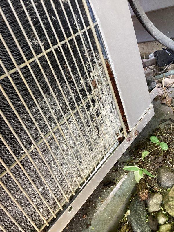 # Carrier AC Maintenance and Cleaning

Responded to service call for 10-year-old Carrier air conditioning system experiencing reduced cooling performance. Upon arrival, performed visual inspection of outdoor condenser unit and identified significant debris accumulation affecting system efficiency.

Condenser coil fins showed substantial dirt, dust, and organic matter buildup throughout the heat exchanger assembly, particularly concentrated in lower sections. External grille and protective panels exhibited heavy contamination with mold, mildew, and environmental debris covering approximately 60-70% of accessible surfaces. Vegetation growth observed at unit base, with weeds encroaching on equipment foundation.

Performed comprehensive condenser coil cleaning using appropriate cleaning solutions and techniques to remove accumulated dirt and biological growth from fins and coil surfaces. Cleaned external cabinet panels and protective grilles to remove mold, mildew, and surface contaminatio