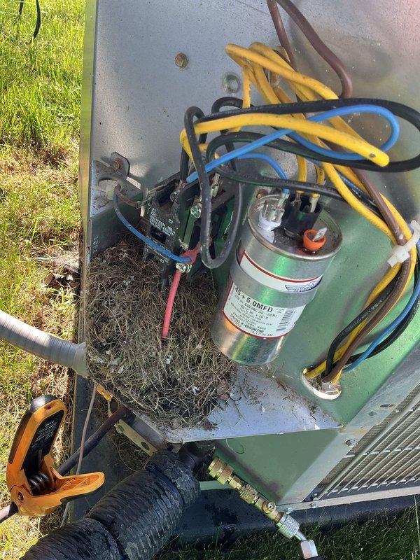 Completed annual cooling maintenance on 6-year-old Carrier system. Performed comprehensive inspection of indoor air handler unit in basement and outdoor condensing unit, checking electrical connections, capacitor, contactor, and all system components. All components found operating within normal parameters; system tested and confirmed ready for cooling season.