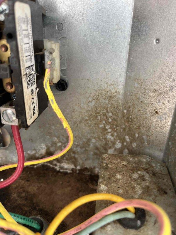 Completed annual cooling maintenance on 2011 air conditioning system. Performed comprehensive tune-up inspection of outdoor condensing unit and indoor air handler components. Inspected electrical connections, contactor operation, and control wiring throughout system. Noted significant dust and dirt accumulation on interior cabinet surfaces and electrical enclosure panels with visible moisture staining. Verified proper electrical connections on low-voltage control wiring including thermostat circuits. Checked all terminal connections for tightness and proper contact. System operational at time of departure with all components functioning within normal parameters.