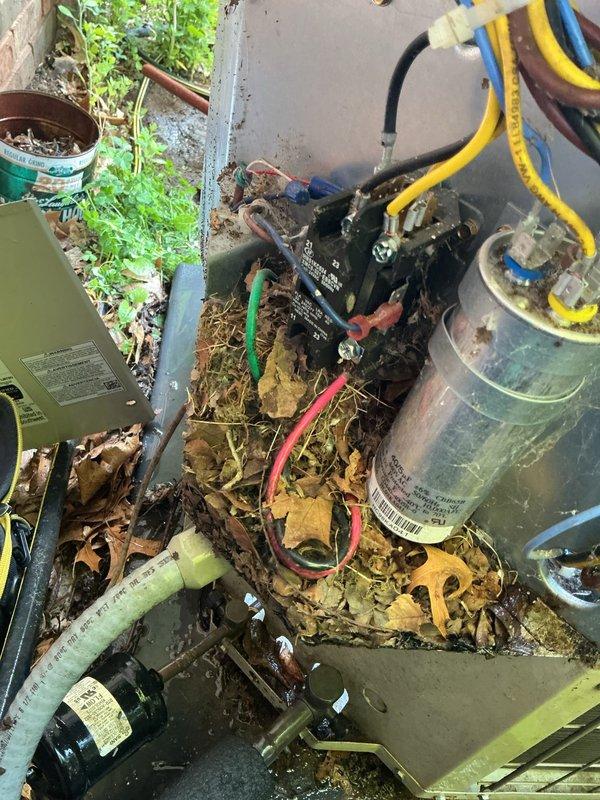 Completed annual cooling maintenance on 7-year-old Payne air conditioning system. Unit exterior compartment was found heavily contaminated with organic debris including leaves, twigs, and plant matter that had accumulated throughout the mechanical section and around electrical components. Performed thorough cleaning of condenser compartment, removing all organic debris from around compressor, electrical controls, and wiring connections. Cleaned condensate drain pan which showed signs of dust accumulation. Inspected all electrical connections and wiring for damage from debris exposure - all connections found secure despite contamination. Verified proper operation of compressor and electrical components following cleaning. System restored to clean operating condition and tested successfully.