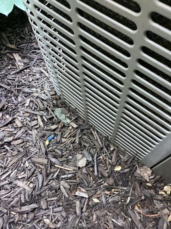 Completed annual cooling maintenance on 14-year-old York air conditioning system. Performed comprehensive tune-up including inspection of exterior condenser unit fan assembly, verified proper airflow through protective grille, and examined outdoor unit condition. All components found operating within normal parameters with routine exterior dust accumulation noted on condenser housing and grille consistent with outdoor exposure.