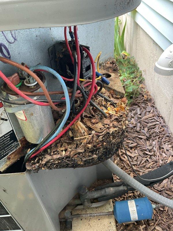 Responded to no cooling complaint on 36-year-old Tempstar system original to home. Upon arrival, found unit completely non-operational with extensive deterioration throughout. Exterior condenser showed significant debris accumulation with leaves, twigs, and organic material collected inside cabinet and around internal components. Electrical connections displayed severe corrosion and rust on junction box, wiring terminations, and capacitor connections. Internal wiring exhibited age-related degradation with compromised insulation integrity. Given the advanced age of equipment at over three decades old, extreme corrosion of electrical components, and complete system failure, recommended full system replacement as most cost-effective solution. Unit has exceeded its expected service life and presents safety concerns due to deteriorated electrical connections and compromised wiring. Customer advised that repair costs would not be justified on equipment of this age and condition.
