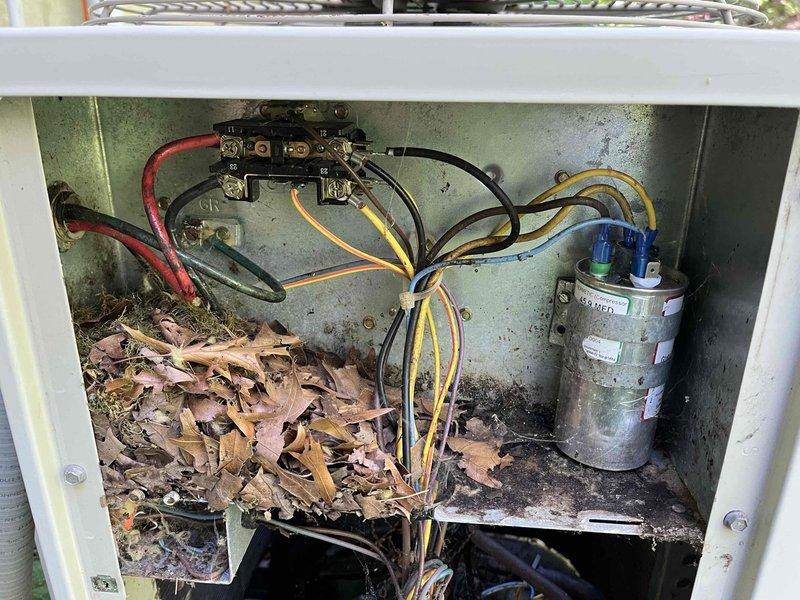 Completed annual cooling maintenance on 20-year-old Bryant outdoor condensing unit. Removed accumulated leaves and organic debris from electrical compartment that had collected around contactor, capacitor, and low-voltage wiring. Inspected all electrical connections, contactor operation, and dual-run capacitor condition. Cleaned condenser coil, verified proper refrigerant pressures, and confirmed unit operational parameters within manufacturer specifications.