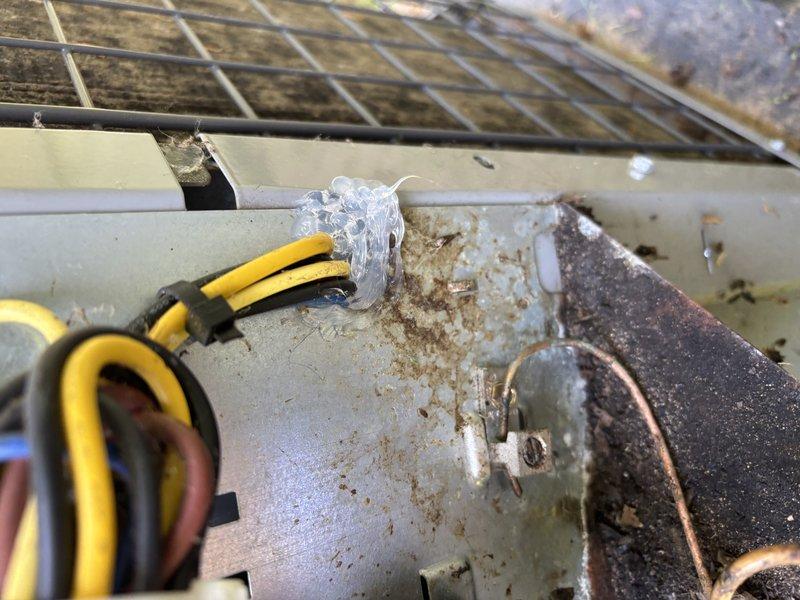 Responded to service call for outdoor air conditioning unit experiencing operational issues. Upon arrival, accessed the outdoor condensing unit by opening the top panel to inspect internal electrical and mechanical components. Found significant corrosion and rust accumulation on the unit housing and internal surfaces, indicating prolonged exposure to moisture and environmental elements. Inspected the capacitor and associated electrical wiring, including yellow and black striped conductors. Examined copper refrigerant lines and electrical connections for signs of deterioration. Documented the condition of the unit through photographs showing weathered components, corroded metal surfaces, and wire connections. The unit displayed evidence of age-related wear with dirt accumulation on internal components and surrounding areas. All findings were recorded for maintenance recommendations and future service planning.