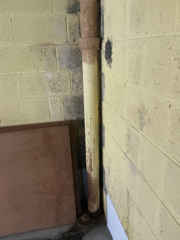 Responded to pre-purchase home inspection findings for two plumbing leaks in vacant residential property. Addressed leak under kitchen sink that was penetrating through to basement level, causing visible water damage, staining, and moisture infiltration on basement walls and floor surfaces. Inspected and addressed secondary leak under bathroom sink contained within vanity cabinet. Documented extensive moisture damage in basement area including wall discoloration, efflorescence on concrete block surfaces, and deterioration around vertical plumbing stack. Evaluated pipe conditions and leak sources at both fixture locations to prevent further water intrusion prior to occupancy.