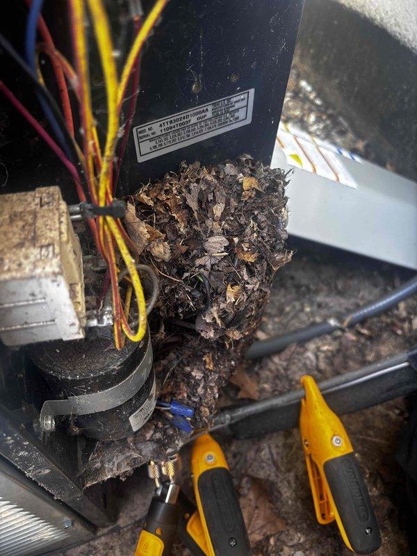 # AC Annual Cooling Maintenance Visit

Performed comprehensive annual cooling system maintenance on a 10+ year old air conditioning unit. Upon inspection, discovered severe corrosion and rust accumulation on the capacitor terminals and electrical connections, indicating prolonged moisture exposure and potential component failure risk. The capacitor showed significant deterioration at the top terminal area with heavy oxidation affecting wire connection points.

Found substantial debris accumulation inside the unit, including dried leaves, twigs, and organic matter that had collected around wire entry points and throughout the interior compartment. This debris posed risks for airflow restriction, electrical hazards, and potential pest intrusion. Cleaned all accessible areas to remove organic materials and restore proper equipment clearances.

Inspected all electrical connections and wiring despite corrosion present on capacitor terminals. Multiple wires including orange, red, and gray co
