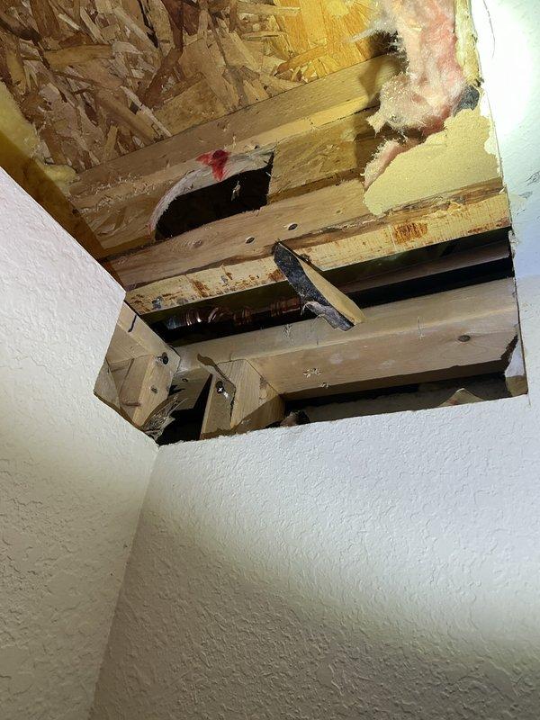 Completed QUOTR-quoted repair involving cutting back ceiling drywall to access and redirect an irrigation line that was causing water damage to interior room. Exposed structural joists and OSB sheathing showed evidence of moisture intrusion with visible staining and material deterioration. Successfully rerouted the irrigation line to prevent future leaks and prepared the ceiling cavity for drywall restoration.