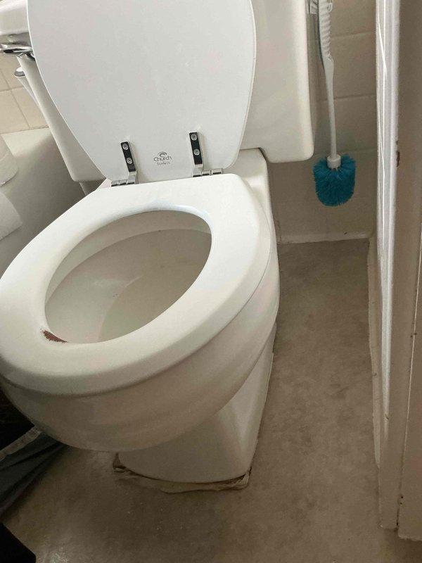 Responded to toilet backup with minor leak penetrating ceiling below. Upon inspection, documented existing conditions of standard residential toilet installation showing signs of base seal deterioration with visible staining at floor connection point. Assessed plumbing system for blockage sources and leak pathway causing water damage to lower level ceiling. Photographed toilet assembly, mounting hardware, and surrounding bathroom fixtures to document pre-service conditions and identify root cause of backup and leak issue.