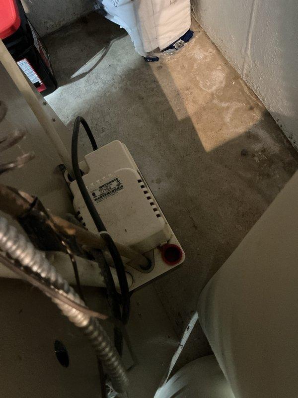 Completed annual cooling maintenance on 2018 Amana system with 25 years of service history. Performed comprehensive tune-up including inspection of evaporator coils, which showed moderate dust and debris accumulation between fins affecting heat transfer efficiency. Verified condensate pump operation in basement mechanical room and confirmed proper drainage with no active leaks present, though floor showed evidence of previous moisture exposure. All system components found operational and unit left in serviceable condition.