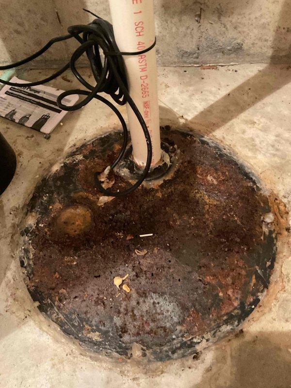 Responded to a three-day ongoing plumbing backup affecting the basement and mechanical room at multiple locations. Upon arrival, assessed the drainage system and identified a severely corroded floor drain basin with extensive rust and deterioration. The metal drain cover and basin showed significant oxidation with brown, orange, and reddish-brown corrosion throughout, compromising the integrity of the drainage fixture. Documented the condition of the existing drain infrastructure, including the PVC drain piping and surrounding concrete floor area which exhibited staining and water damage consistent with repeated backup events. Measured and photographed the corroded drain assembly to document the extent of deterioration for warranty purposes. The backup issue was attributed to the compromised drain system components requiring replacement to restore proper drainage function and prevent future occurrences.