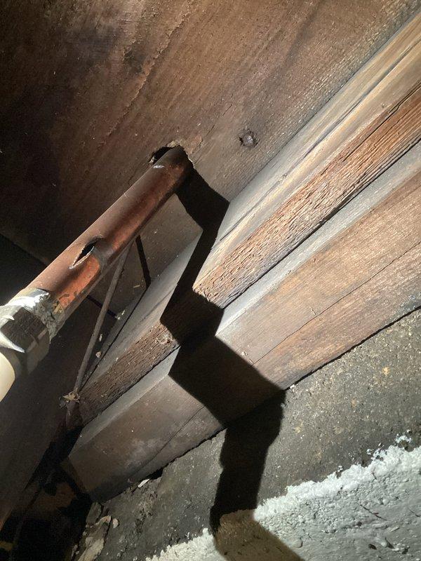 Responded to plumbing leak in basement and successfully replaced damaged copper pipe that had split. The deteriorated section showed significant oxidation and patina consistent with age-related failure. Installed new piping section to restore water flow and prevent further water damage to the basement structure. Work completed per dispatch request with no charge to customer.