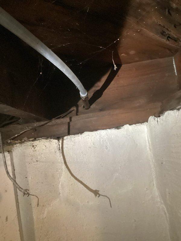 Responded to plumbing leak in basement and successfully replaced damaged copper pipe that had split. The deteriorated section showed significant oxidation and patina consistent with age-related failure. Installed new piping section to restore water flow and prevent further water damage to the basement structure. Work completed per dispatch request with no charge to customer.