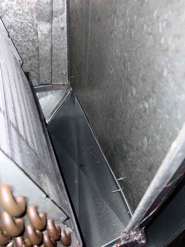 Completed annual cooling maintenance on 9-year-old AC system. Performed comprehensive tune-up including inspection of blower assembly, evaporator coil access area, and internal components. Documented system condition with photos showing equipment housed in confined mechanical space with evidence of normal aging and environmental exposure. All components inspected and system operational upon completion.