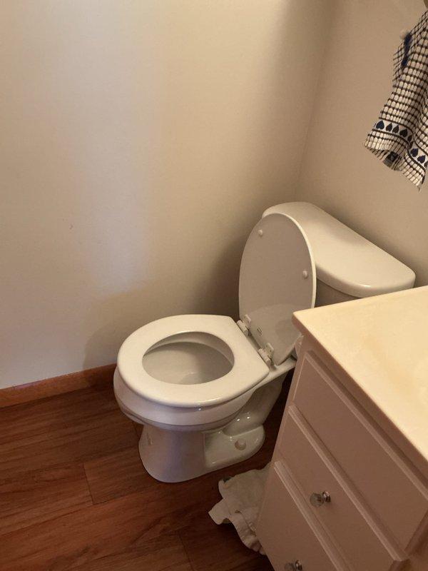 Replaced existing toilet in basement bathroom with new 14-inch rough-in toilet. Installation included new shut-off valve, wax ring, mounting hardware, and supply line. Verified proper seal, tested for leaks, and confirmed flush operation.