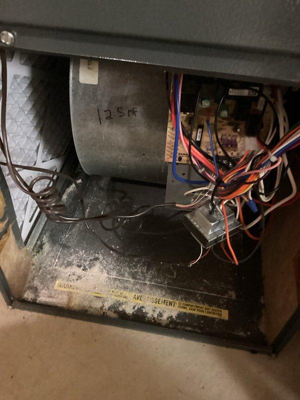 Completed annual cooling maintenance on 11-year-old Bryant system. Performed comprehensive inspection of blower assembly, verified electrical connections at control board, and documented amp draw of 12.5A on blower motor. All components operating within manufacturer specifications; system ready for cooling season.