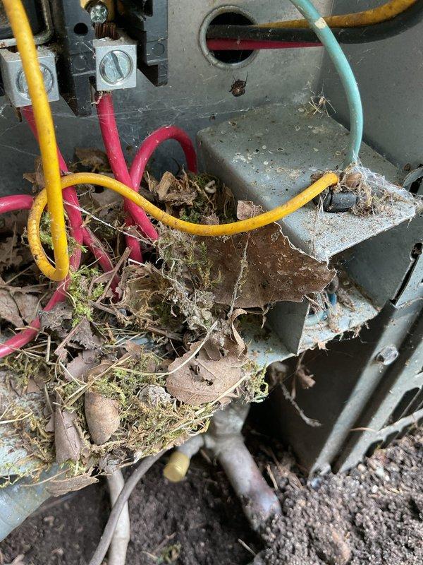 Completed comprehensive AC Super Tune-up on outdoor condensing unit. Removed significant accumulation of organic debris (leaves, twigs, moss, and nesting material) from electrical junction box and surrounding components to prevent potential electrical hazards and ensure proper system operation. Inspected refrigerant lines, service valves, and overall unit condition; system operational and ready for cooling season.