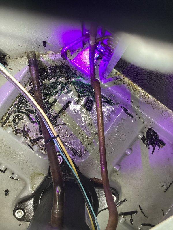 # CP-Cooling Problem Service Completed

Responded to service call for refrigerant leak detection on 7-year-old Tempstar system. Previous technician had added refrigerant with UV dye, but refrigerant had already leaked out prior to arrival. Performed comprehensive leak detection inspection of the system. Upon examination, discovered severely contaminated drain pan with significant biological growth, algae, and sediment buildup indicating extended maintenance neglect. Standing water in condensate pan contained dark organic matter and debris accumulation. Inspected evaporator coil assembly and found visible discoloration and debris on coil fins. Traced refrigerant lines throughout system using UV light to identify leak source. Documented conditions with photographic evidence showing contaminated drain pan, copper refrigerant lines, and internal HVAC components. System showed signs of poor maintenance with dust and particulate matter throughout mechanical housing. Provided customer with fi