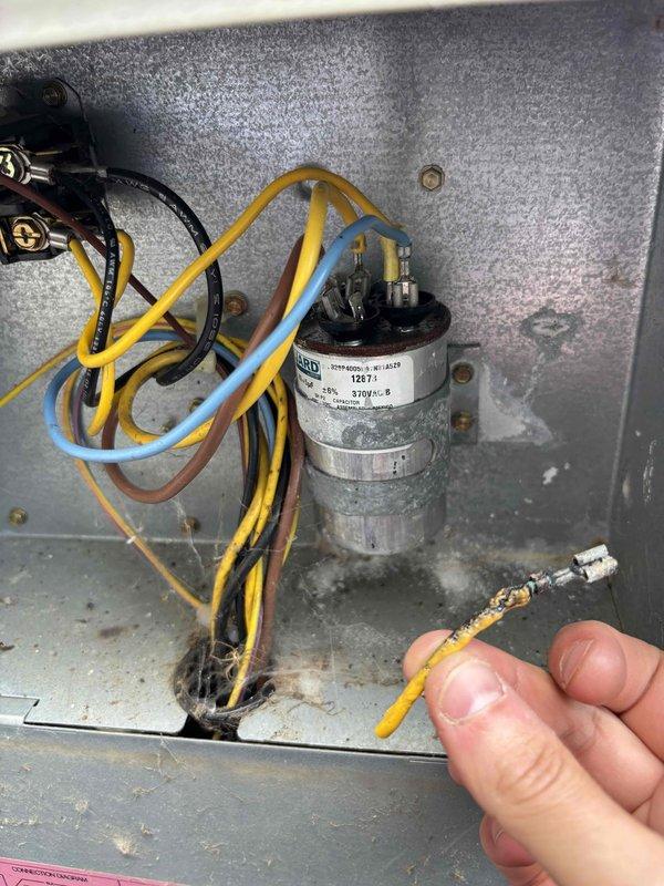 Responded to no cooling call on 24-year-old Bryant air conditioning system with complete failure of all components. Upon inspection, discovered severely corroded and damaged wire connector at capacitor terminal, preventing power delivery to outdoor unit. Replaced failed connector and verified proper electrical connections throughout system. Tested unit operation and confirmed compressor, condenser fan motor, and all components restored to normal function with proper cooling achieved.