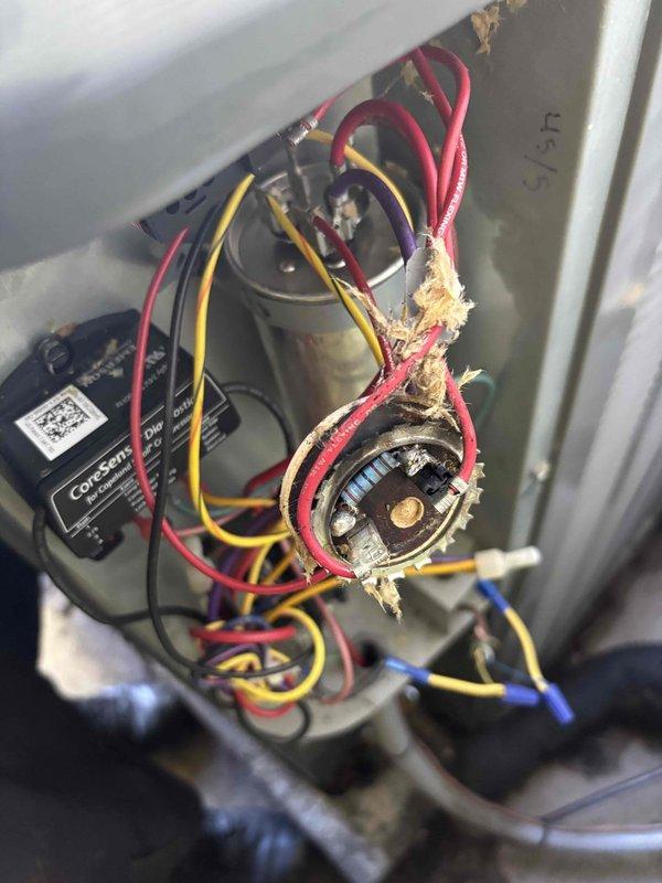 Responded to service call for non-operational outdoor unit. Upon inspection, discovered severely deteriorated wire insulation on electrical connections within the condensing unit, with multiple conductors showing exposed bare wire and frayed insulation due to age and heat exposure. Repaired damaged wiring, secured all electrical connections, and verified proper system operation. Unit tested and returned to normal cooling function.