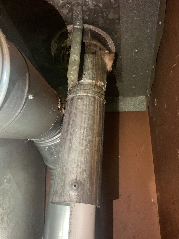 Responded to service call for loud scratchy noise originating from indoor AC unit. Upon arrival, performed diagnostic inspection of TRANE system over 10 years old. Located source of noise and addressed mechanical issue causing the disruptive sound from the indoor air handler. Completed AC tune-up including system inspection, filter check, and performance verification. Unit restored to proper operation with noise eliminated. System tested and confirmed operating within normal parameters.